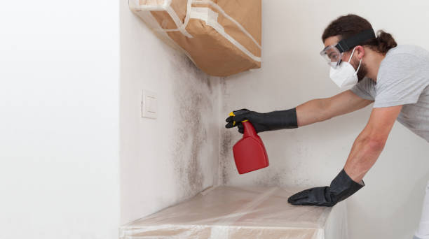 Professional Attic Mold Removal technician working in Chatham, NJ