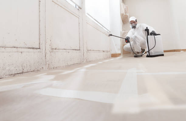 24/7 Emergency Attic Mold Removal experts in Chatham, NJ