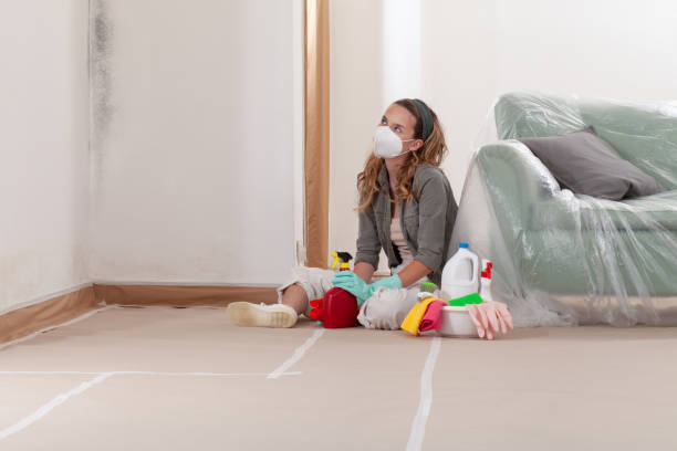 Reliable Attic Mold Removal contractor in Chatham, NJ by WQB Mold Removal